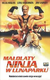 Malolaty-Ninja-w-lunaparku-.jpg