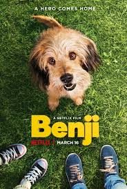benji-plan.jpg
