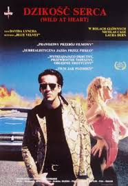 dzikosc-serca.jpg