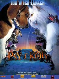 psy-i-koty.jpg