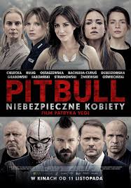 pitbull-niebezpieczne-kobiety.jpg