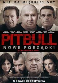 pitbull-nowe-porzatki.jpg